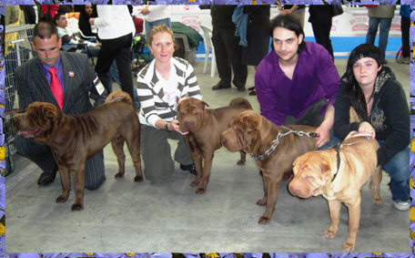 Cocoa, Hera and his sons, Aten and Rufo