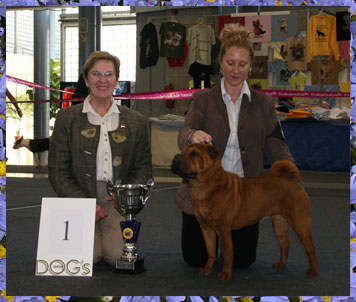 Svejii Veter Rainbow Victories for Nantou is BIS Special Molosoides 2007